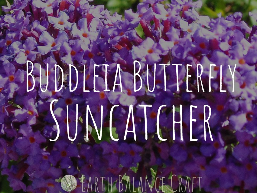 Buddleia Butterfly Suncatcher