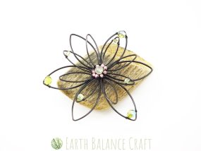 Small Succulent House Plant