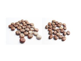 Brown Pattern Jasper Beads