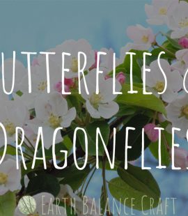 Butterflies and Dragonflies