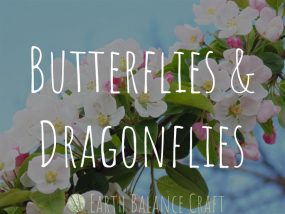 Butterflies and Dragonflies