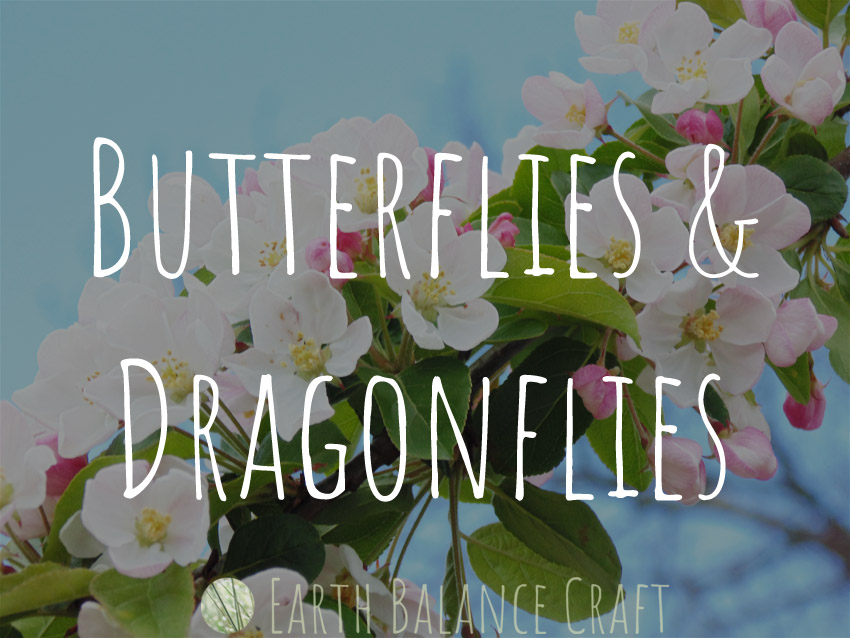 Butterflies and Dragonflies