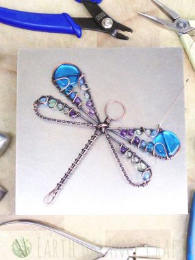 Dragonfly Craft Kit