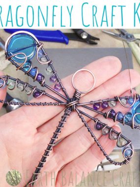 Dragonfly Kit