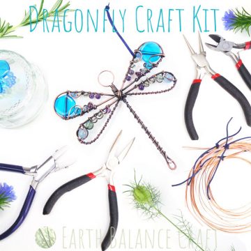 Dragonfly Kit