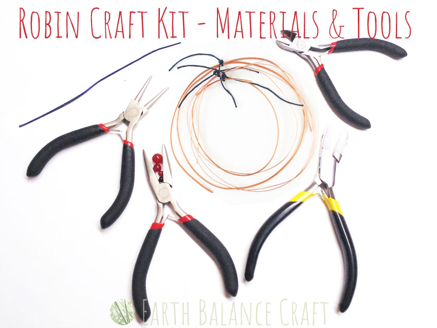 Robin Craft Kit