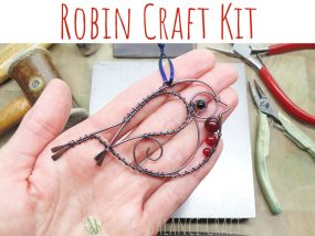Robin Craft Kit