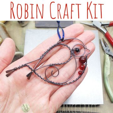 Robin Craft Kit