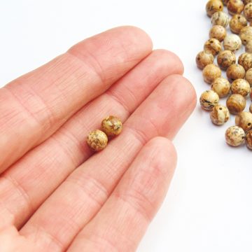 Picture Jasper Round Beads