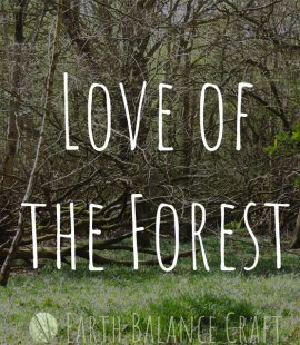 Love of the Forest