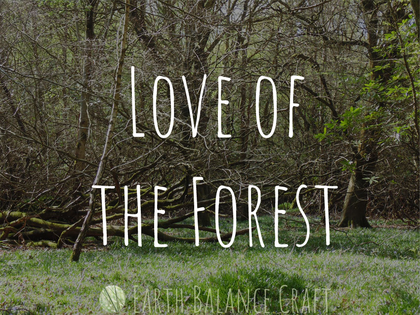 Love of the Forest