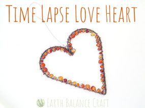 Love Heart Timelapse Cover