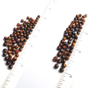 Tigers Eye Beads 4mm