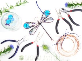 Dragonfly Craft Kit