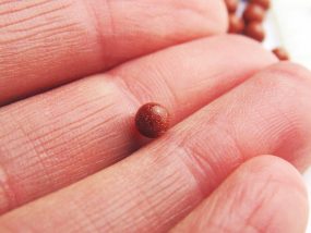 Brown Goldstone Beads