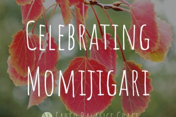 Celebrating Momijigari