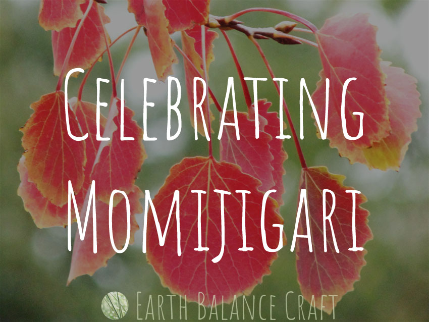 Celebrating Momijigari