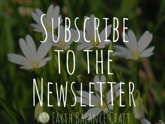 Subscribe to the Newsletter