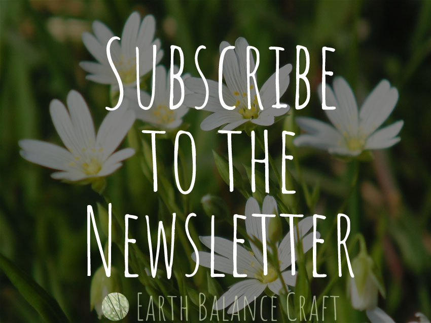 Subscribe to the Newsletter