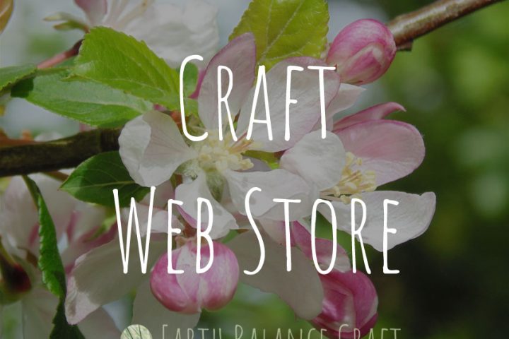 Craft Web Store