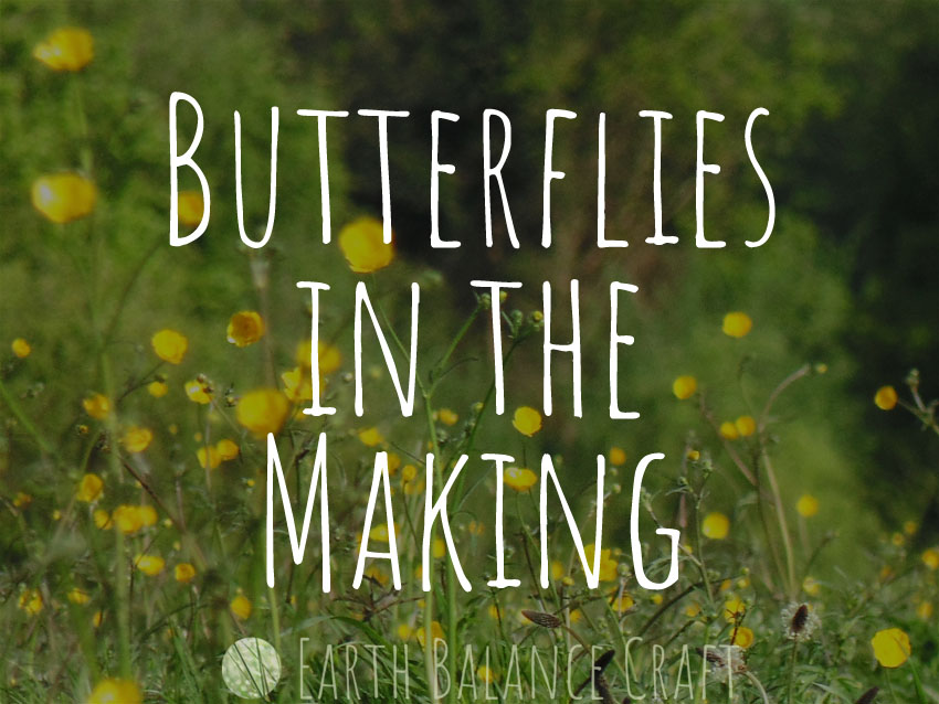 Butterflies in the Making