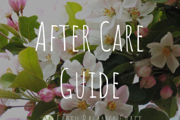After Care Guide