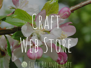Craft Web Store