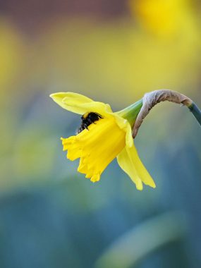 Oliver Hellowell Photography 10