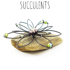 Succulents Title Slide